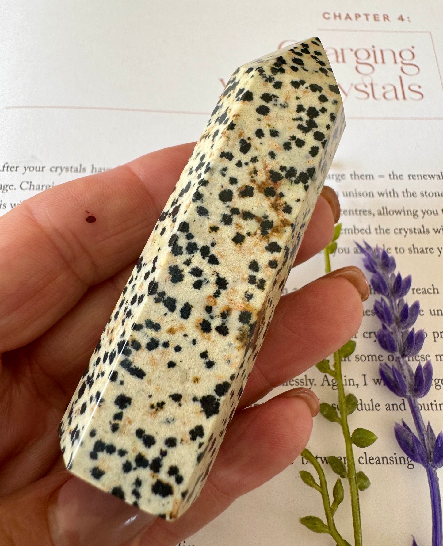 Dalmatian Jasper Point 1