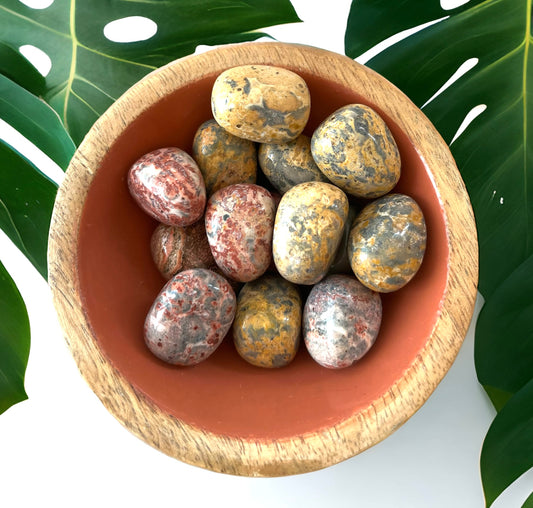 Leopard Skin Jasper Tumblestone
