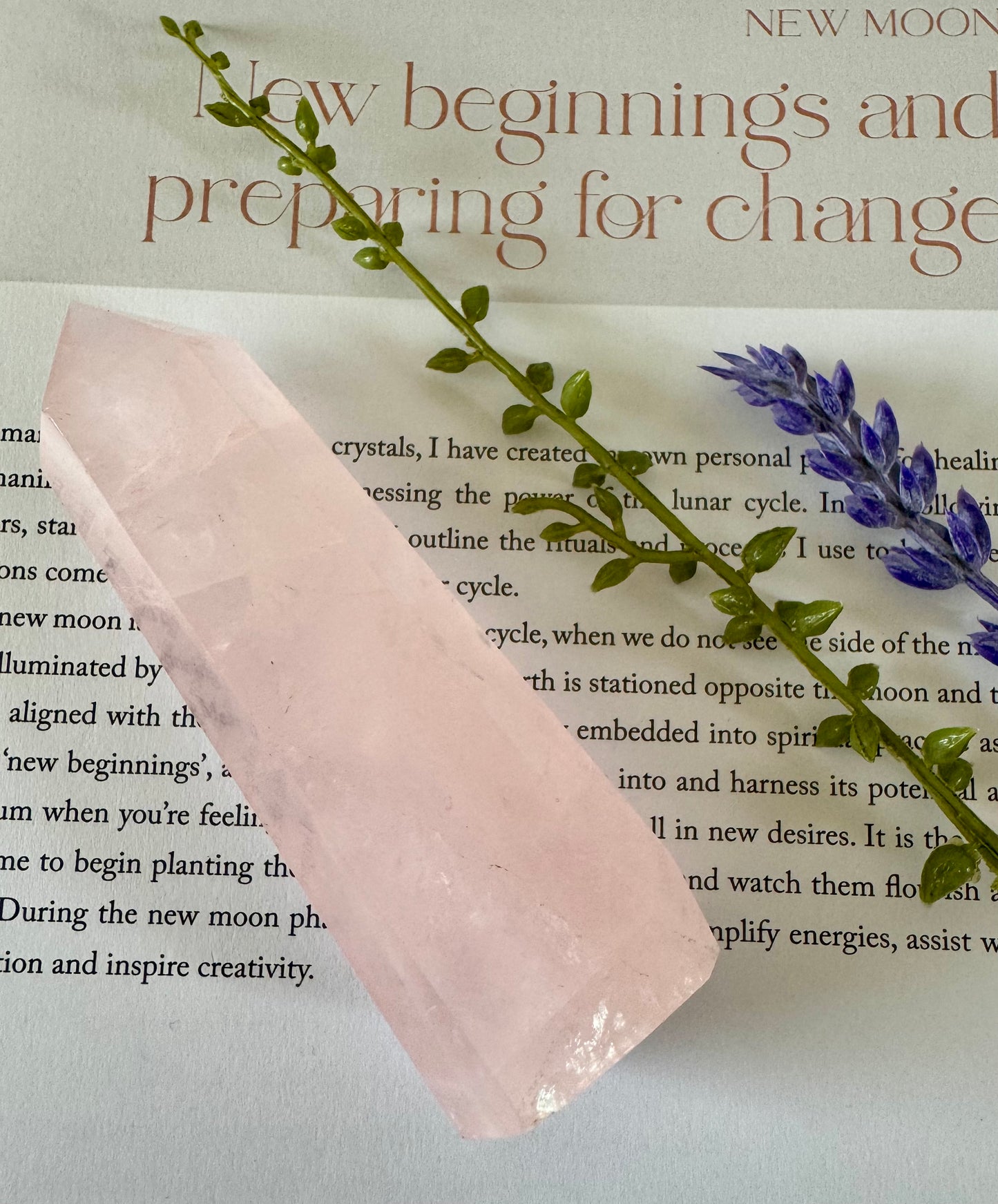 Rose Quartz Point 4