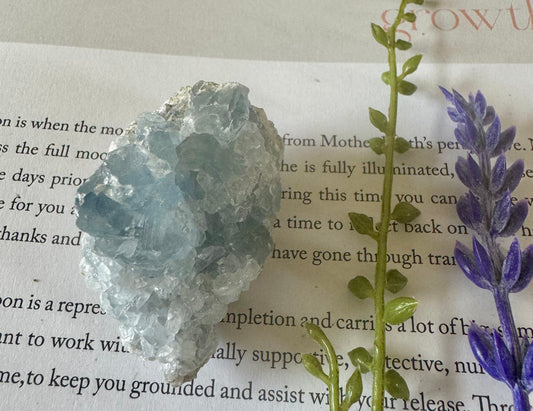 Rough Celestite