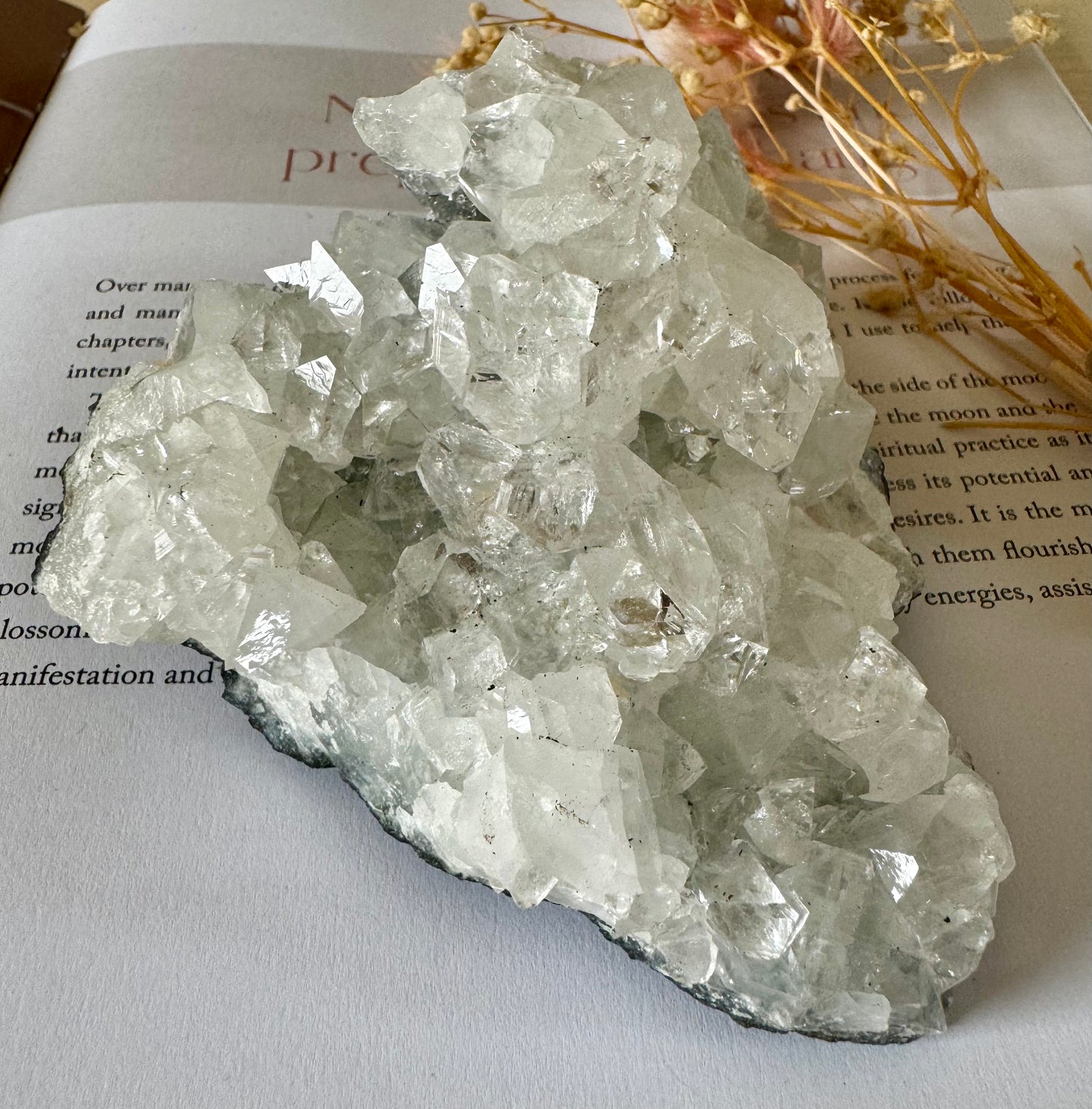 Apophyllite Cluster 2