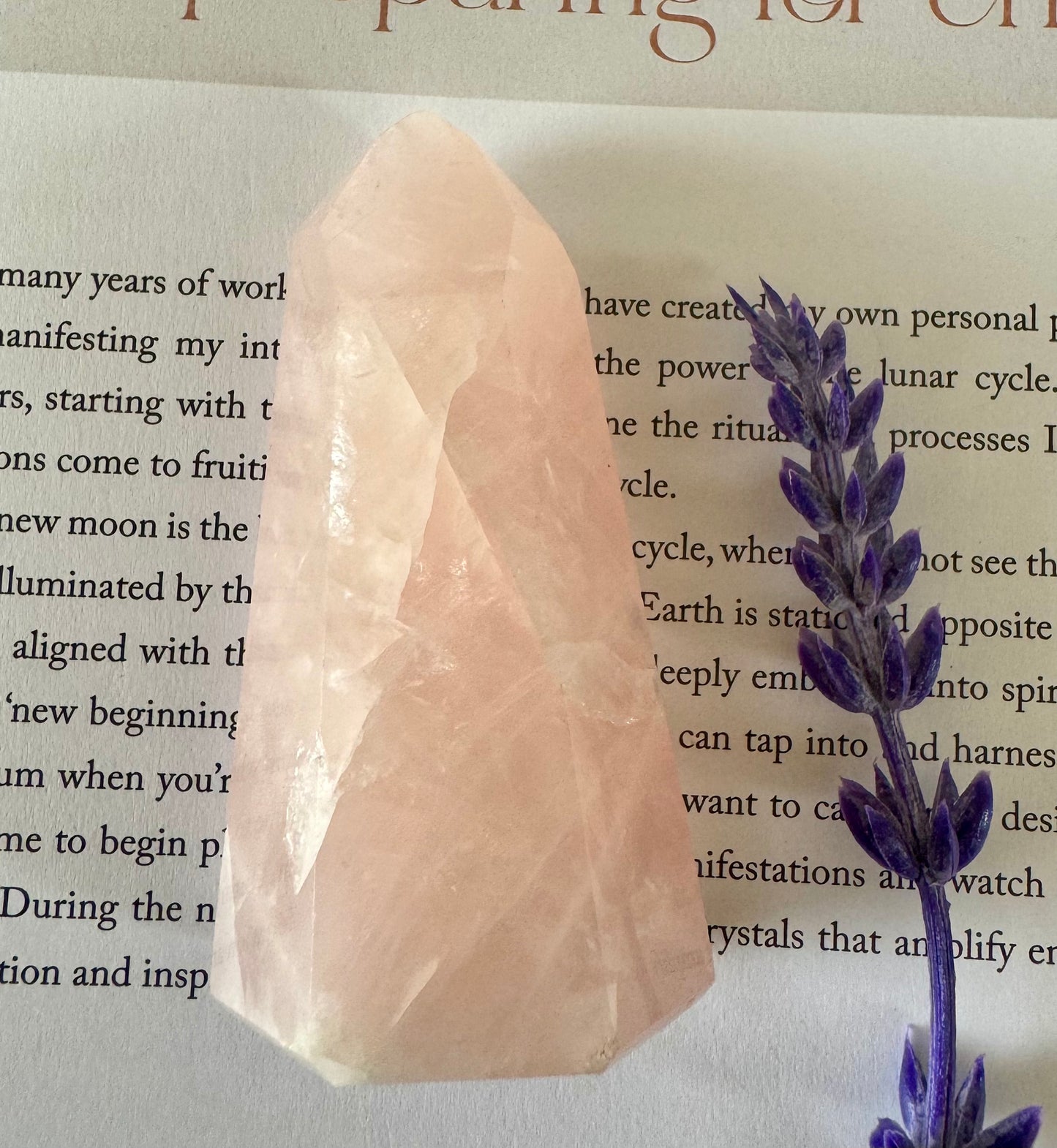 Rose Quartz Point 7