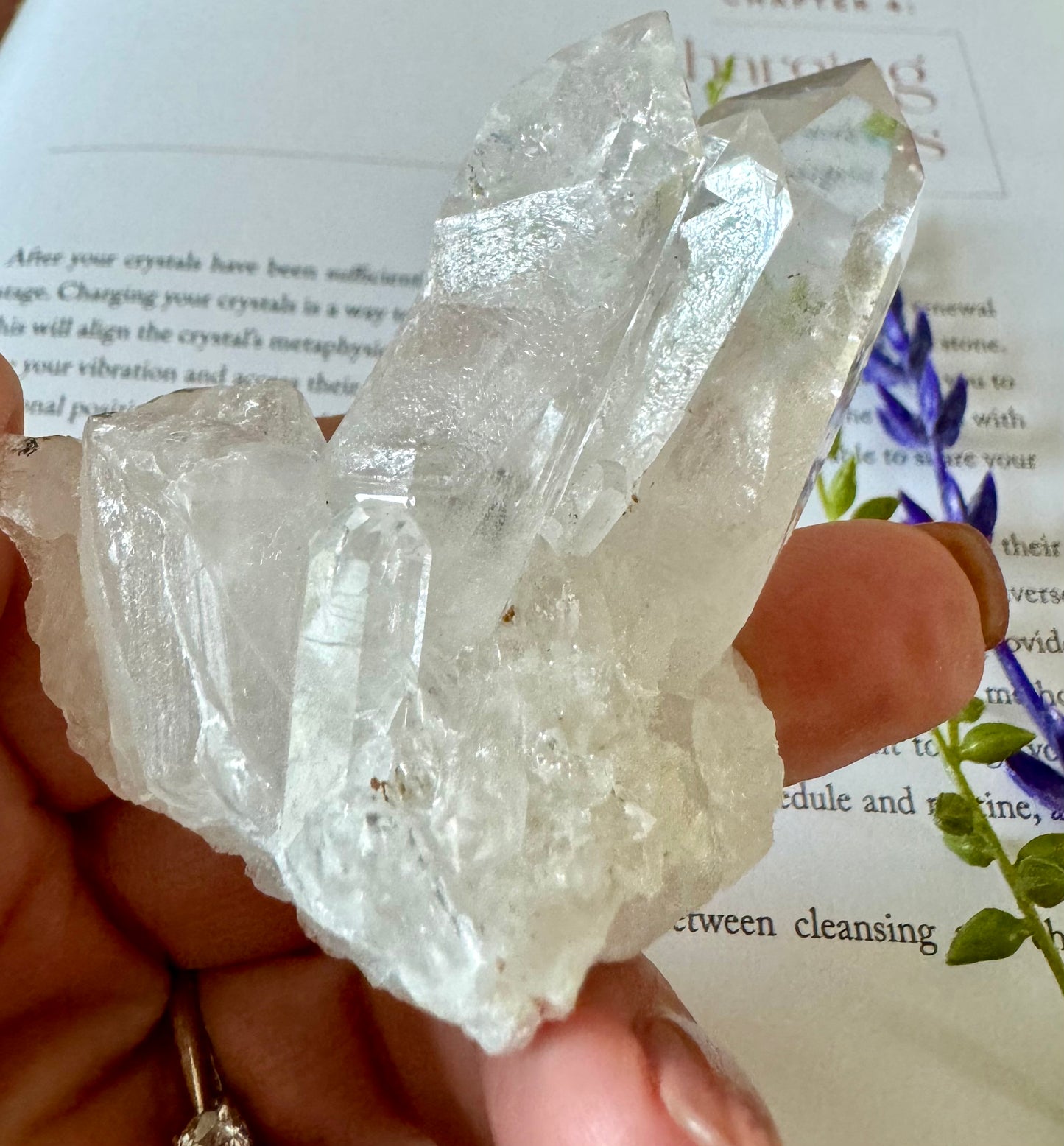 Clear Quartz Cluster 4