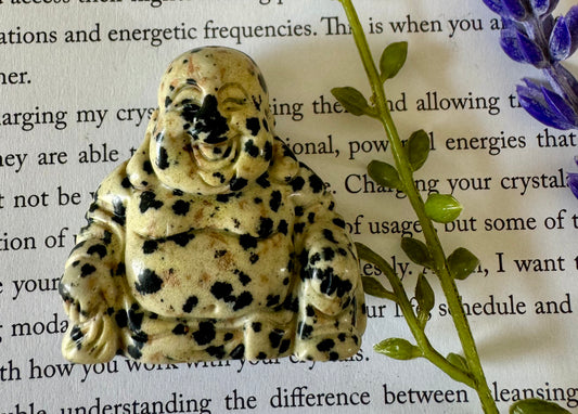 Dalmatian Jasper Buddha