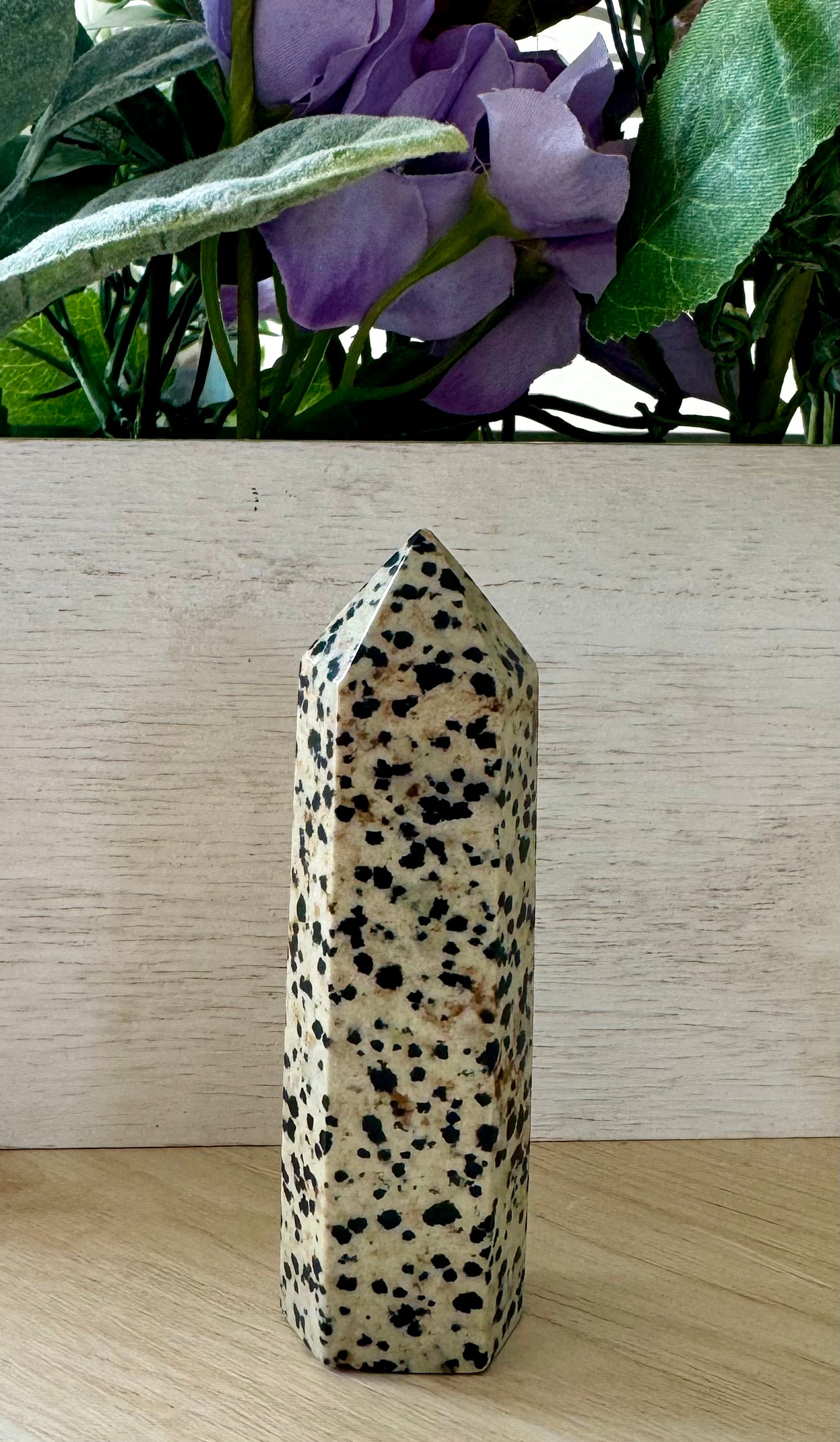 Dalmatian Jasper Point 1