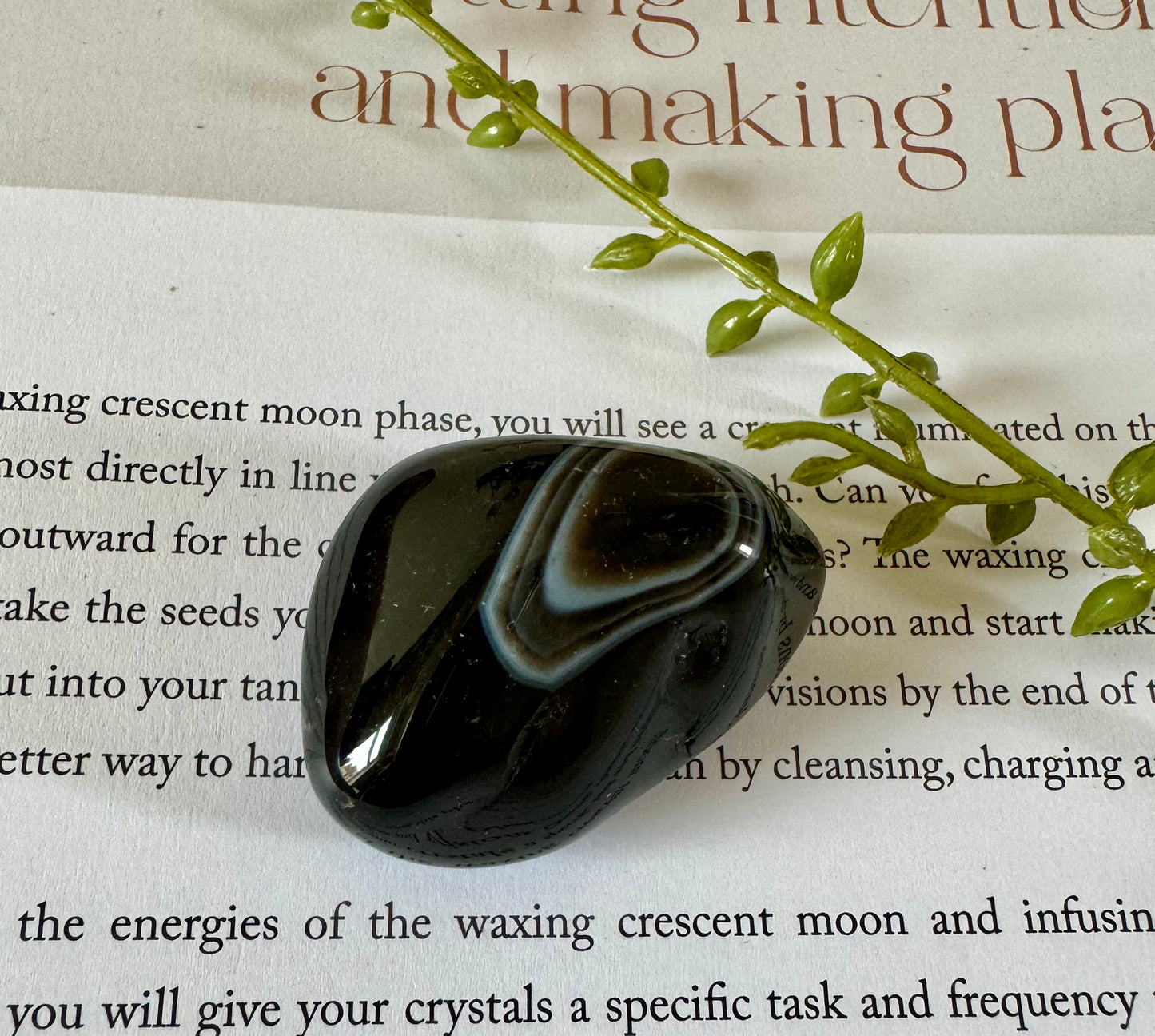 Black Agate Tumblestone