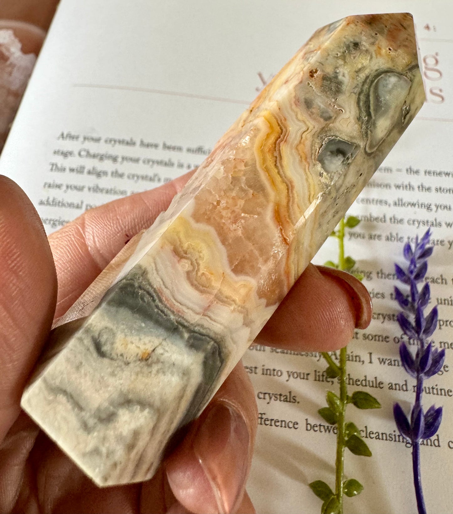 Crazy lace Agate Point 2