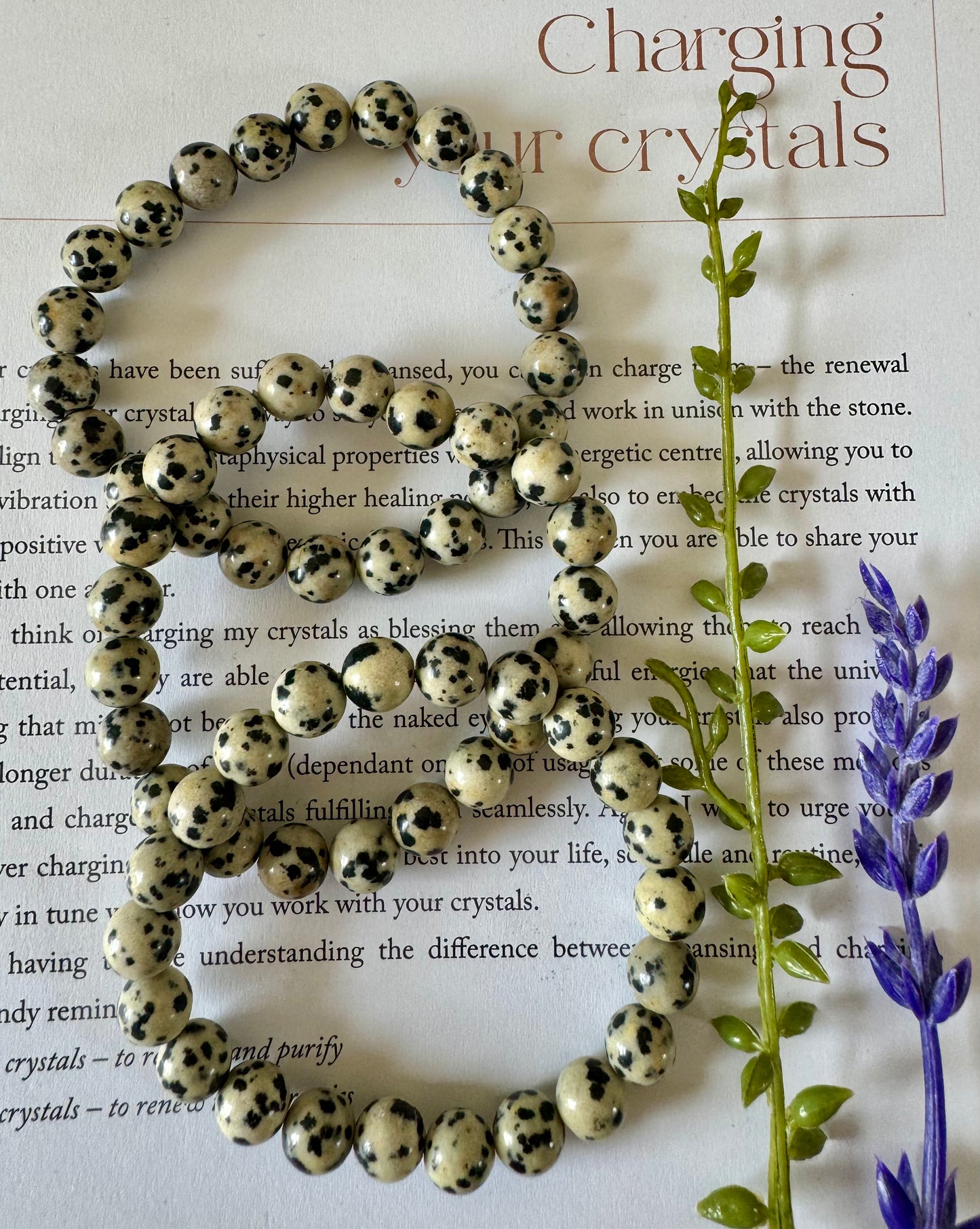 Dalmation Jasper Beaded Bracelet