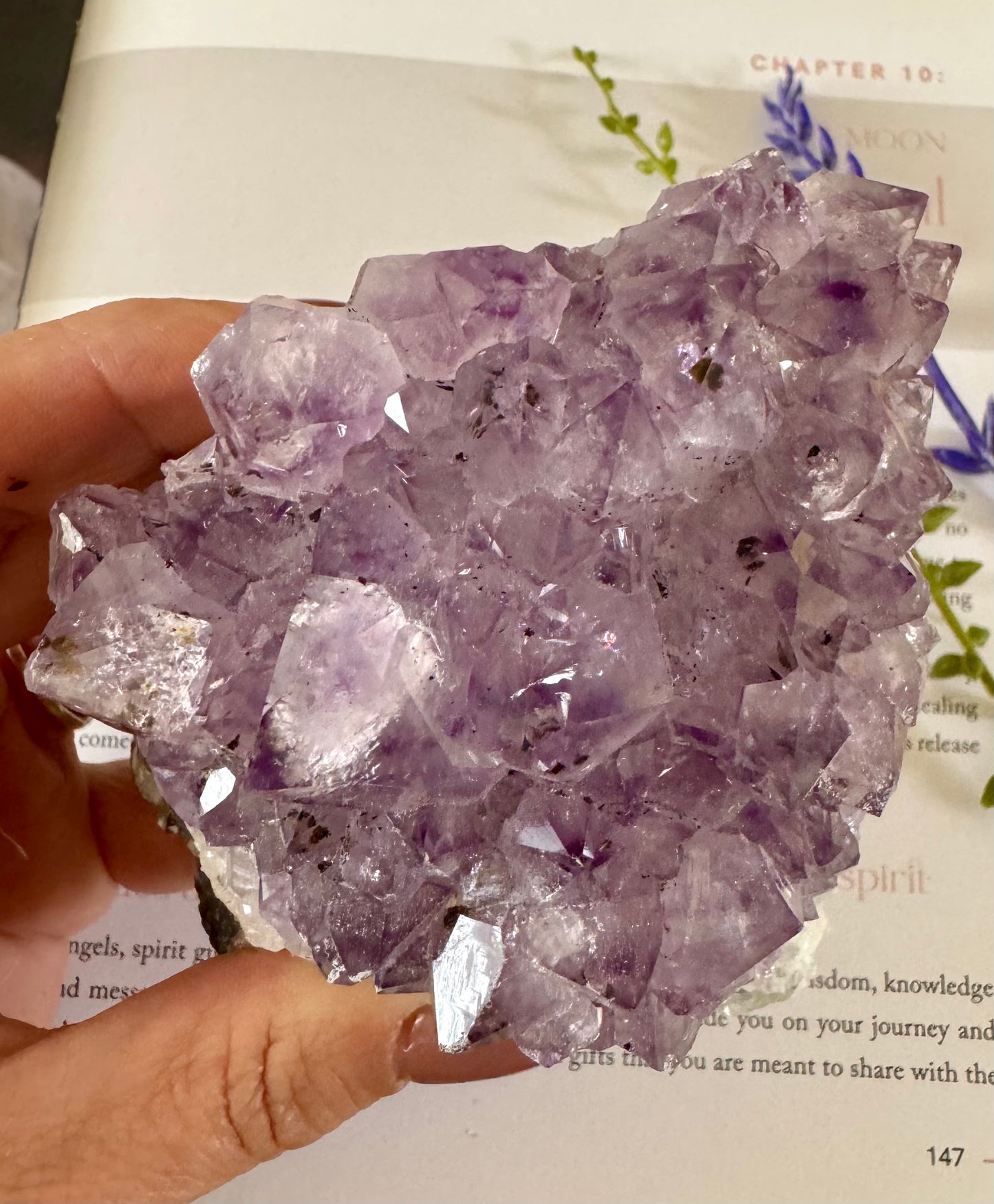 Amethyst Cluster 1