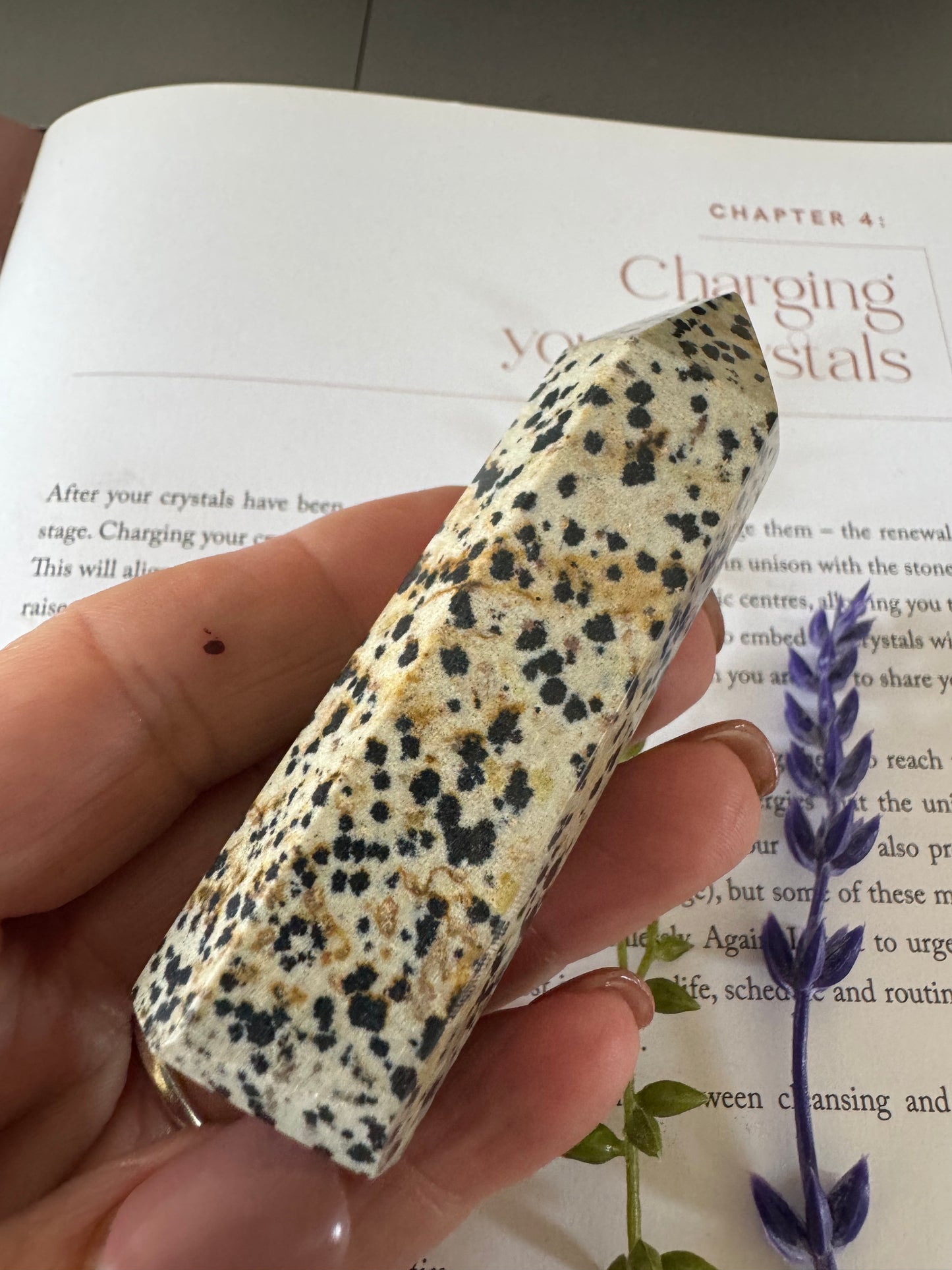 Dalmatian Jasper Point 2