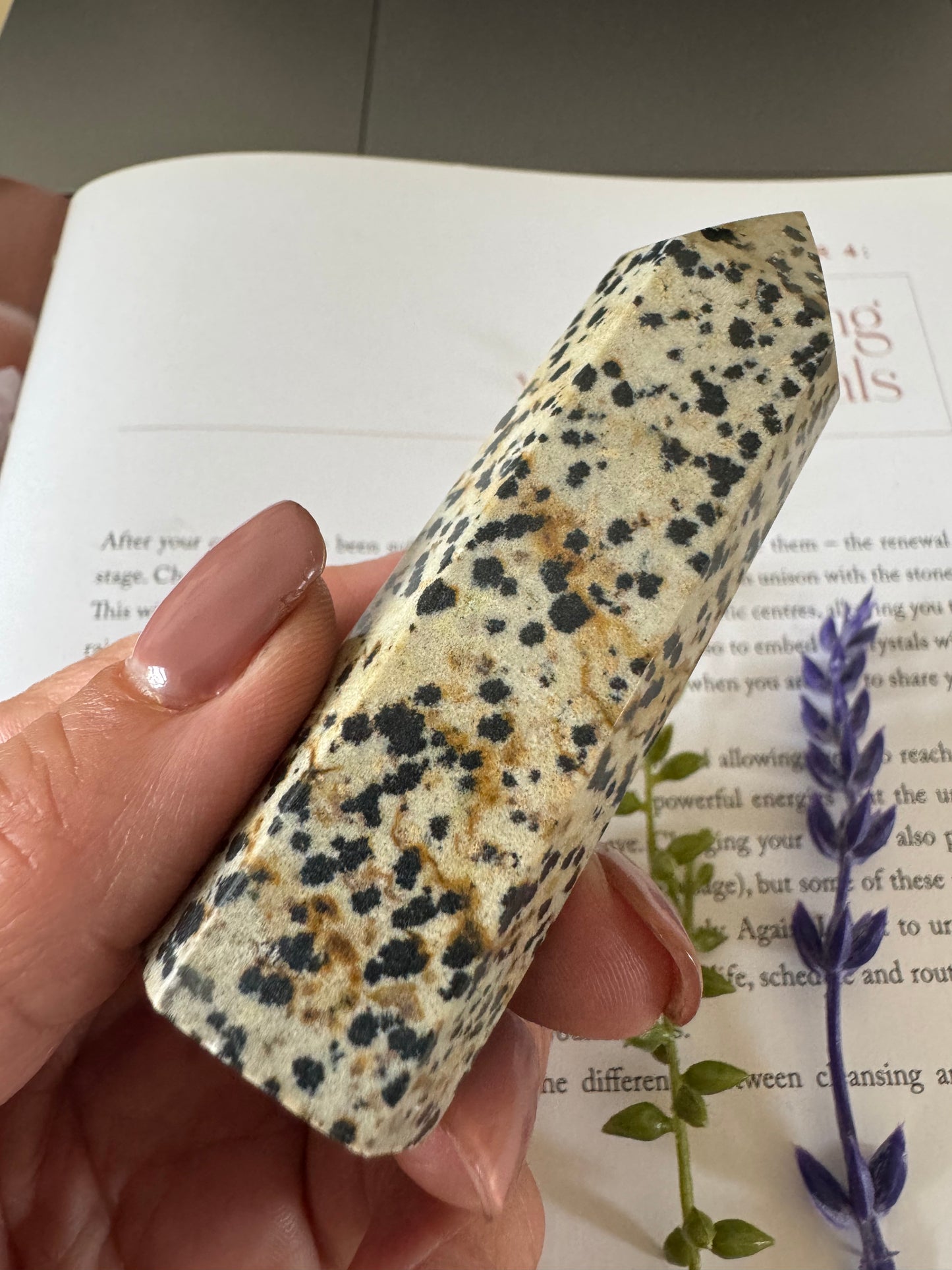 Dalmatian Jasper Point 2