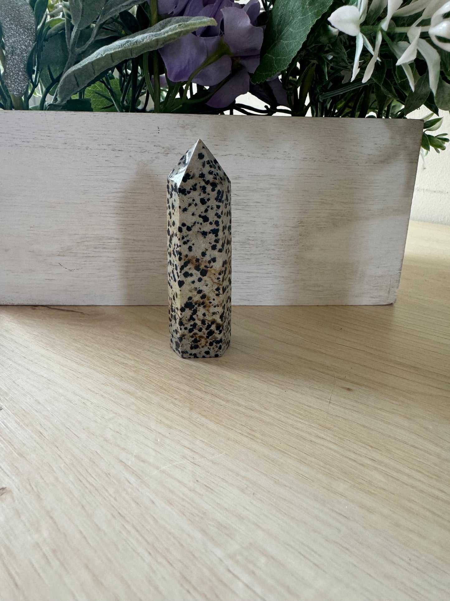 Dalmatian Jasper Point 2