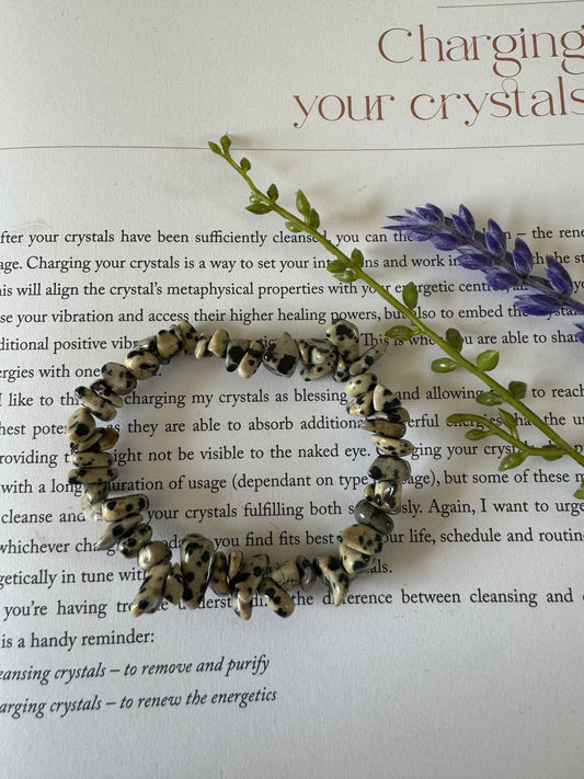 Dalmation Jasper Chip Bracelet