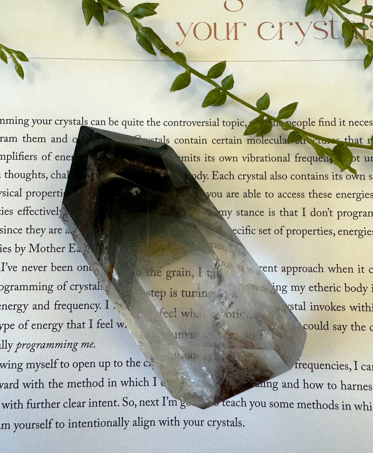 Garden Quartz Point 3