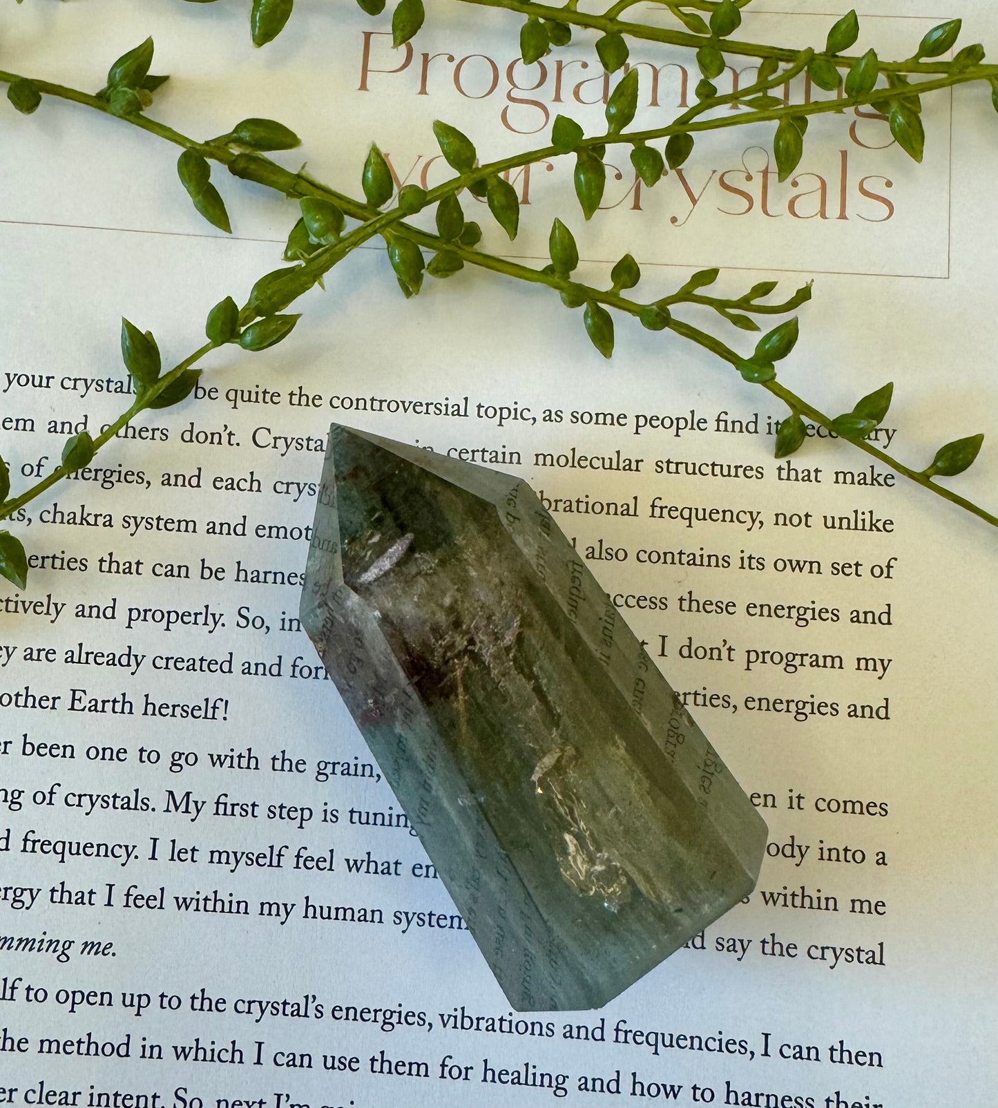 Garden Quartz Point 1