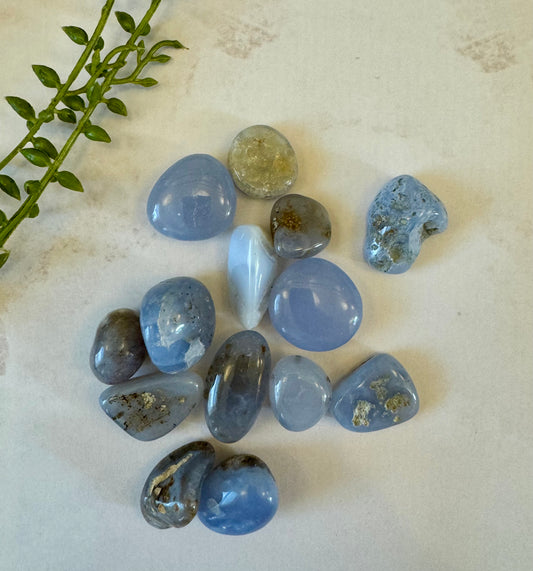 Blue Lace Agate Tumblestone